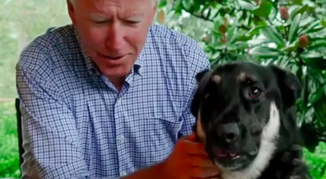 Joe Biden porterà alla Casa Bianca anche i suoi due cani